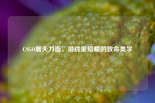 CSGO屠夫刀面，游戏里暗藏的致命美学