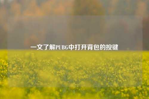 一文了解PUBG中打开背包的按键