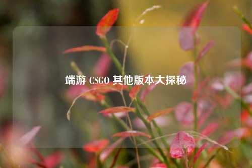 端游 CSGO 其他版本大探秘