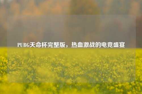 PUBG天命杯完整版，热血激战的电竞盛宴
