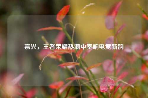 嘉兴，王者荣耀热潮中奏响电竞新韵