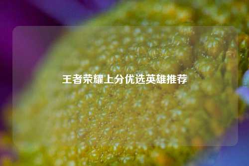 王者荣耀上分优选英雄推荐