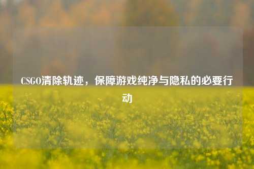 CSGO清除轨迹，保障游戏纯净与隐私的必要行动