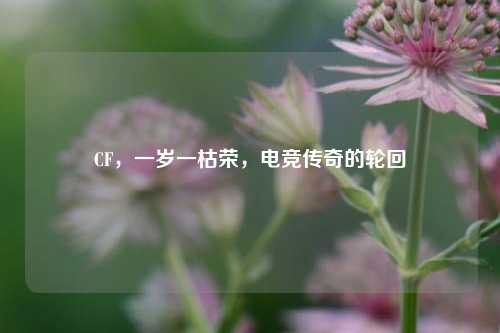 CF，一岁一枯荣，电竞传奇的轮回