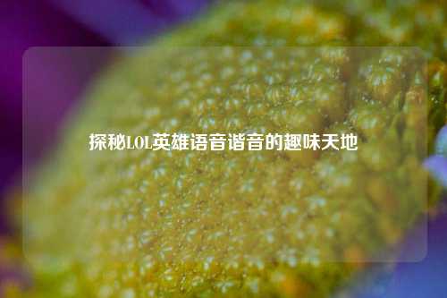 探秘LOL英雄语音谐音的趣味天地