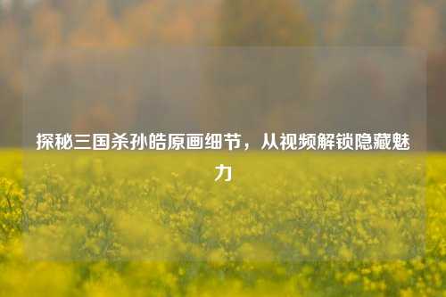 探秘三国杀孙皓原画细节，从视频解锁隐藏魅力