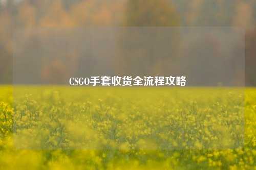 CSGO手套收货全流程攻略