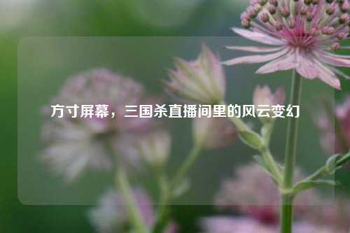 方寸屏幕，三国杀直播间里的风云变幻