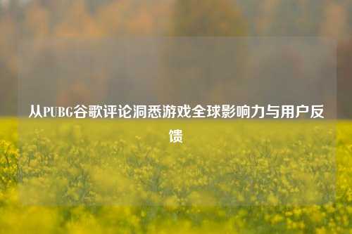 从PUBG谷歌评论洞悉游戏全球影响力与用户反馈