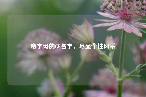 带字母的CF名字，尽显个性风采