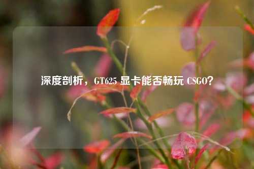 深度剖析，GT625 显卡能否畅玩 CSGO？