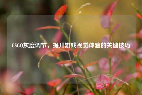 CSGO灰度调节，提升游戏视觉体验的关键技巧
