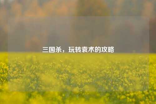 三国杀，玩转袁术的攻略