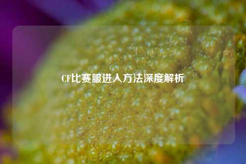 CF比赛服进入方法深度解析