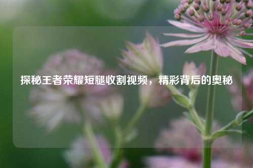 探秘王者荣耀短腿收割视频，精彩背后的奥秘