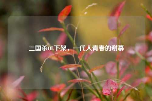 三国杀OL下架，一代人青春的谢幕