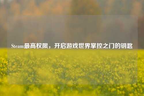 Steam最高权限，开启游戏世界掌控之门的钥匙