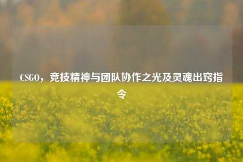 CSGO，竞技精神与团队协作之光及灵魂出窍指令