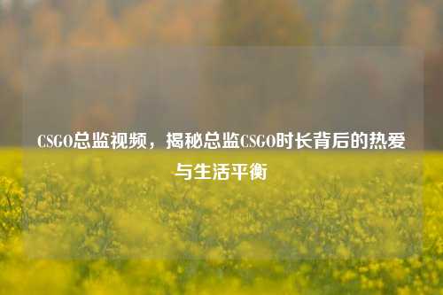 CSGO总监视频,揭秘总监CSGO时长背后的热爱与生活平衡