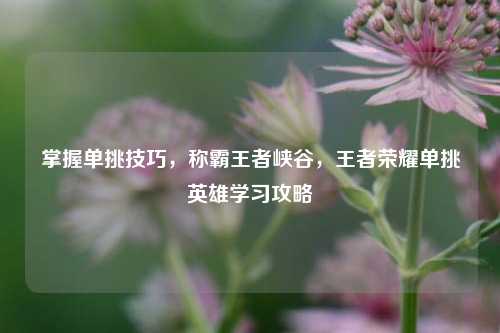 掌握单挑技巧,称霸王者峡谷,王者荣耀单挑英雄学习攻略