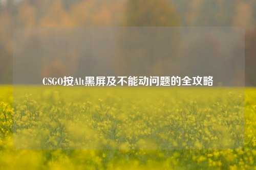 CSGO按Alt黑屏及不能动问题的全攻略