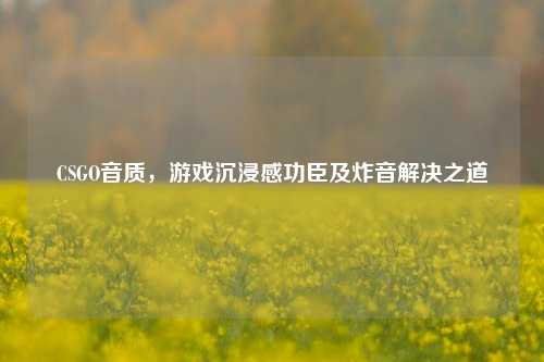 CSGO音质,游戏沉浸感功臣及炸音解决之道
