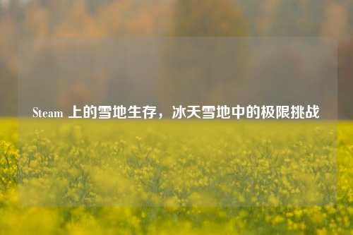 Steam 上的雪地生存,冰天雪地中的极限挑战