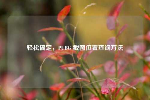 轻松搞定,PUBG 截图位置查询方法