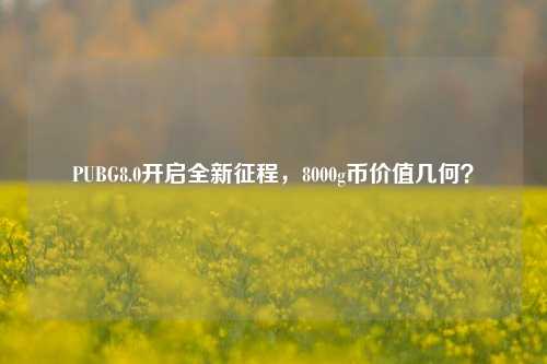 PUBG8.0开启全新征程,8000g币价值几何?
