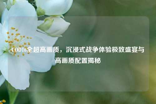 COD16全超高画质,沉浸式战争体验极致盛宴与高画质配置揭秘