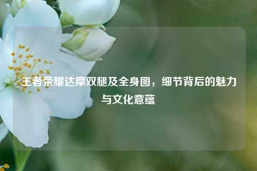 王者荣耀达摩双腿及全身图,细节背后的魅力与文化意蕴