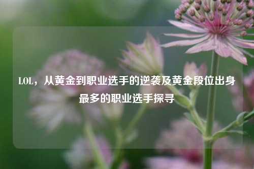 LOL,从黄金到职业选手的逆袭及黄金段位出身最多的职业选手探寻