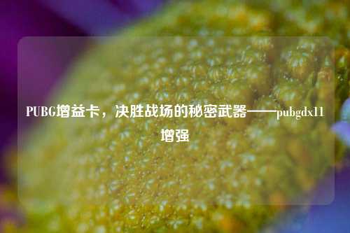 PUBG增益卡,决胜战场的秘密武器——pubgdx11增强