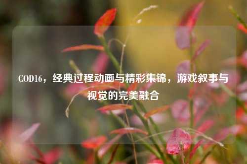 COD16,经典过程动画与精彩集锦,游戏叙事与视觉的完美融合