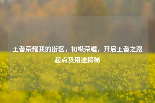王者荣耀我的街区,初级荣耀,开启王者之路起点及用途揭秘
