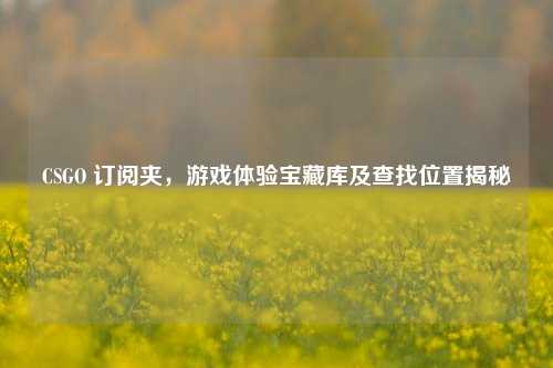 CSGO 订阅夹,游戏体验宝藏库及查找位置揭秘