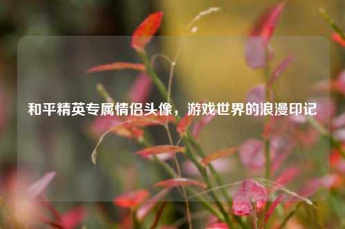 和平精英专属情侣头像,游戏世界的浪漫印记