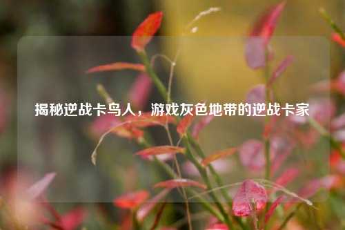 揭秘逆战卡鸟人,游戏灰色地带的逆战卡家