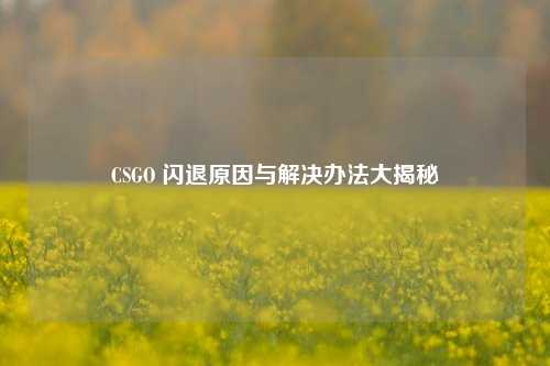 CSGO 闪退原因与解决办法大揭秘