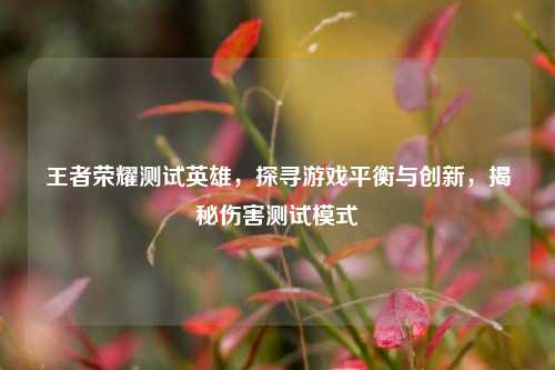 王者荣耀测试英雄,探寻游戏平衡与创新,揭秘伤害测试模式