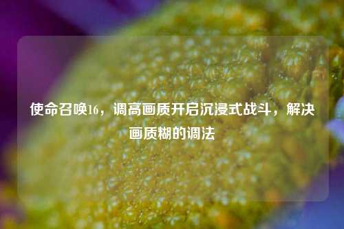 使命召唤16,调高画质开启沉浸式战斗,解决画质糊的调法