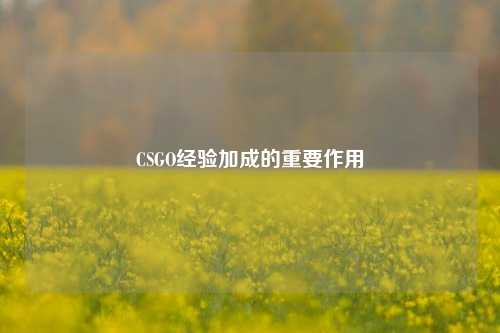 CSGO经验加成的重要作用