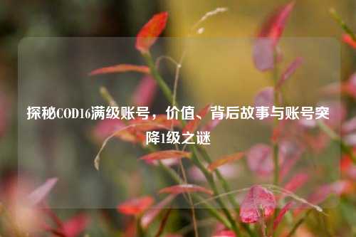 探秘COD16满级账号,价值、背后故事与账号突降1级之谜