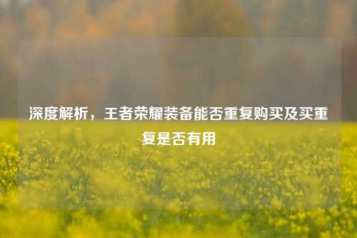 深度解析,王者荣耀装备能否重复购买及买重复是否有用