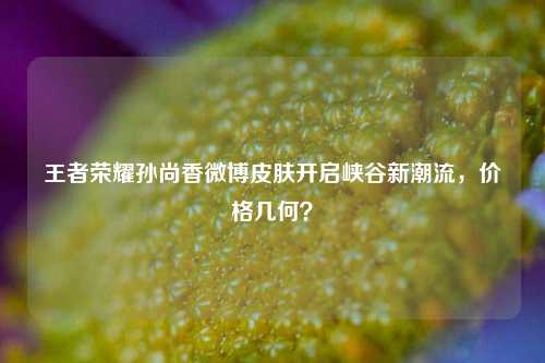 王者荣耀孙尚香微博皮肤开启峡谷新潮流,价格几何?
