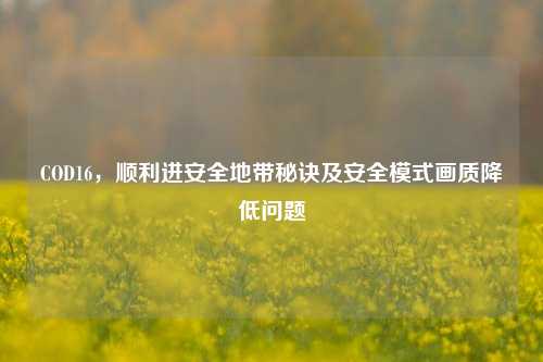 COD16,顺利进安全地带秘诀及安全模式画质降低问题