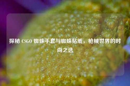 探秘 CSGO 蜘蛛手套与蜘蛛贴纸,枪械世界的时尚之选