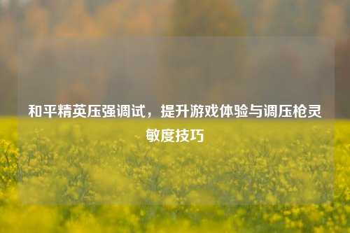 和平精英压强调试,提升游戏体验与调压枪灵敏度技巧