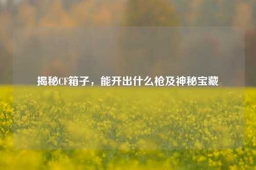 揭秘CF箱子,能开出什么枪及神秘宝藏
