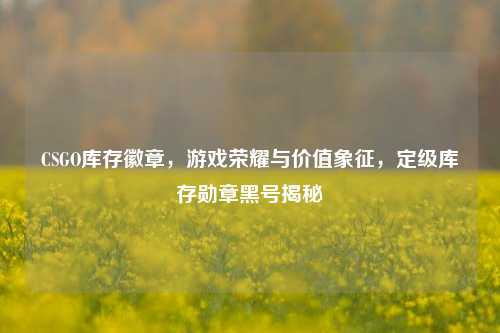 CSGO库存徽章，游戏荣耀与价值象征，定级库存勋章黑号揭秘